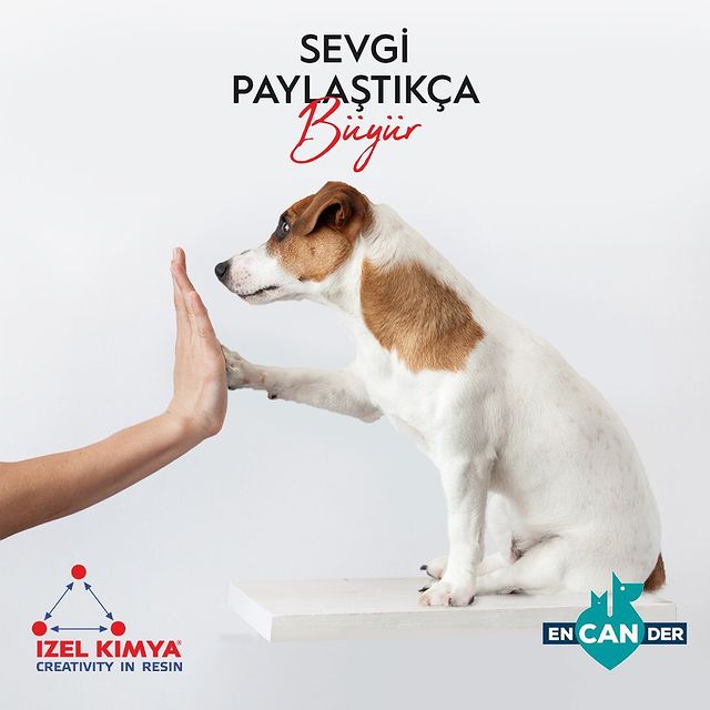 zel Kimyadan Encandere Sevgi Dolu Bir Hediye: Hayvanlar Koruma Gnnde Birlikteyiz!